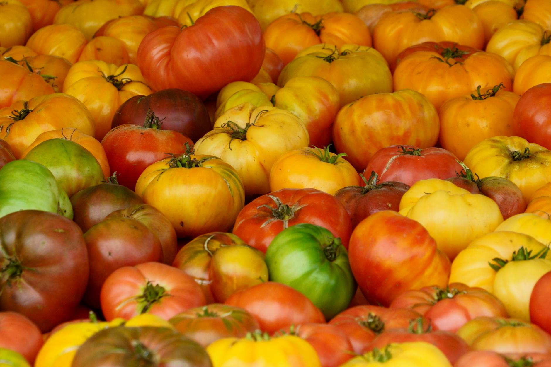 One Heirloom Tomato, Infinite Smugness: Inside the Farmers Market Caste System