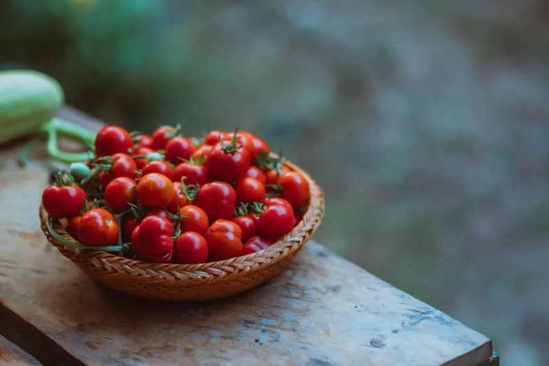 Breaking: Investigative Report Reveals 'Locally Sourced' Actually Means 'Within Driving Distance of a Very Patient Intern'
