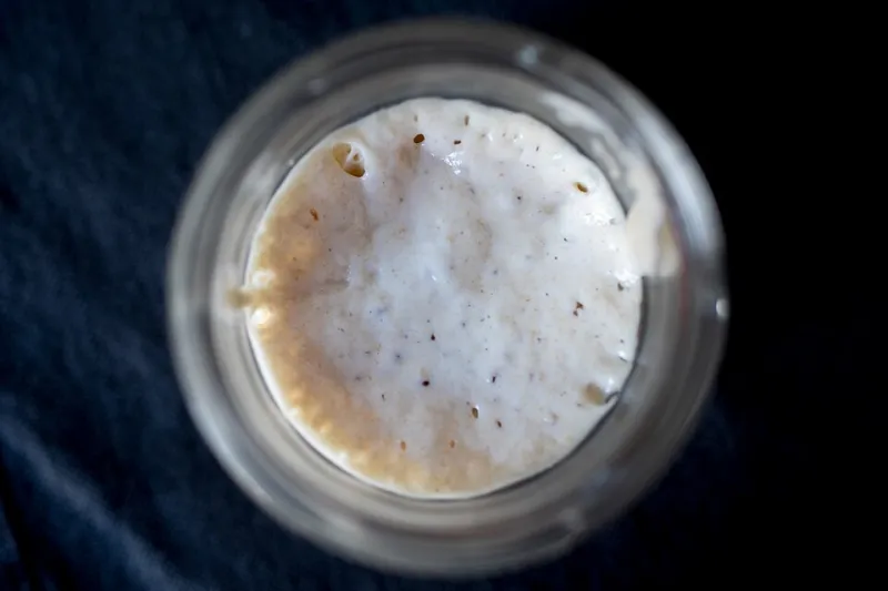 A Psychiatric Evaluation of Gerald, the Sourdough Starter You Love More Than Your Therapist